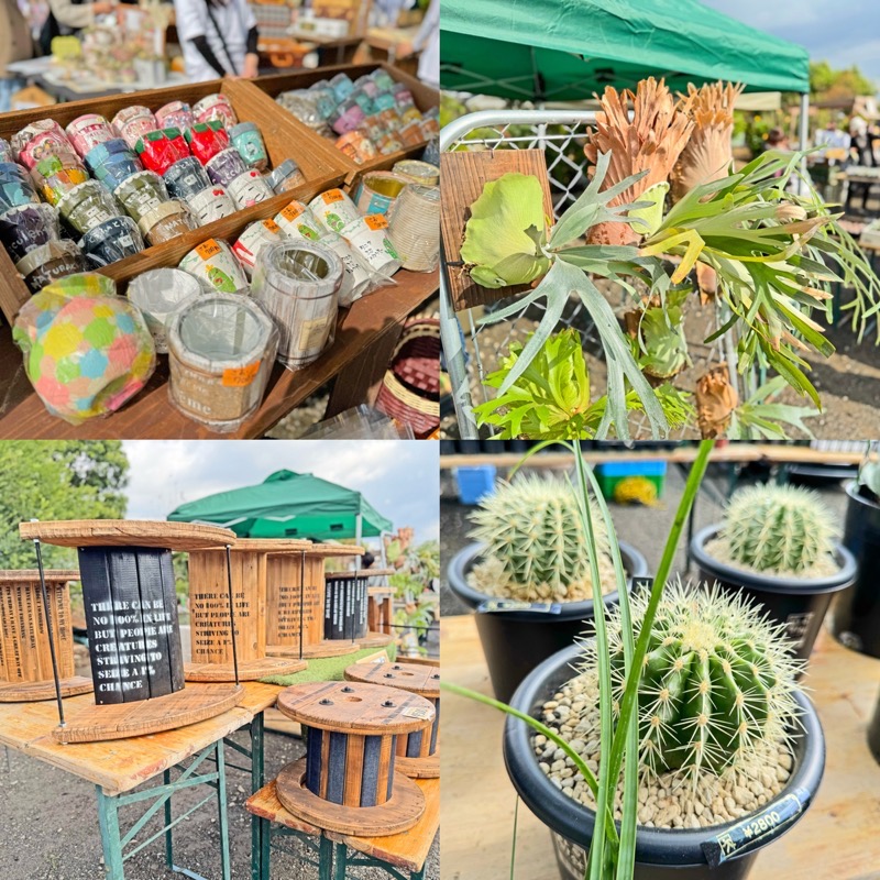 平田ナーセリー久留米店 植物の祭典『春のプランツパニック2026』出店店舗