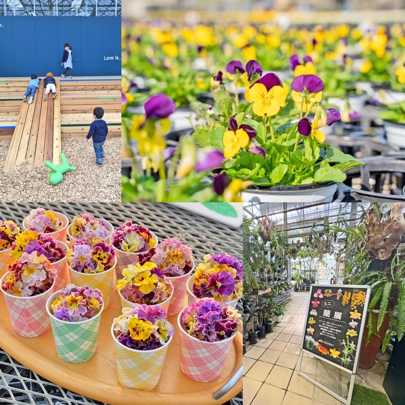 『平田ナーセリー久留米店』スペシャルセールも同時開催