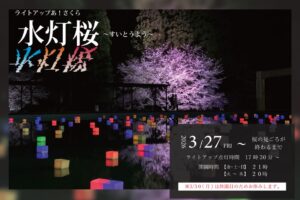 【朝倉市】ライトアップあ！さくら～水灯桜2026 “水”と“桜”が織り成す幻想的な景色