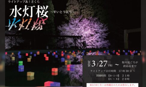 【朝倉市】ライトアップあ！さくら～水灯桜2026 “水”と“桜”が織り成す幻想的な景色