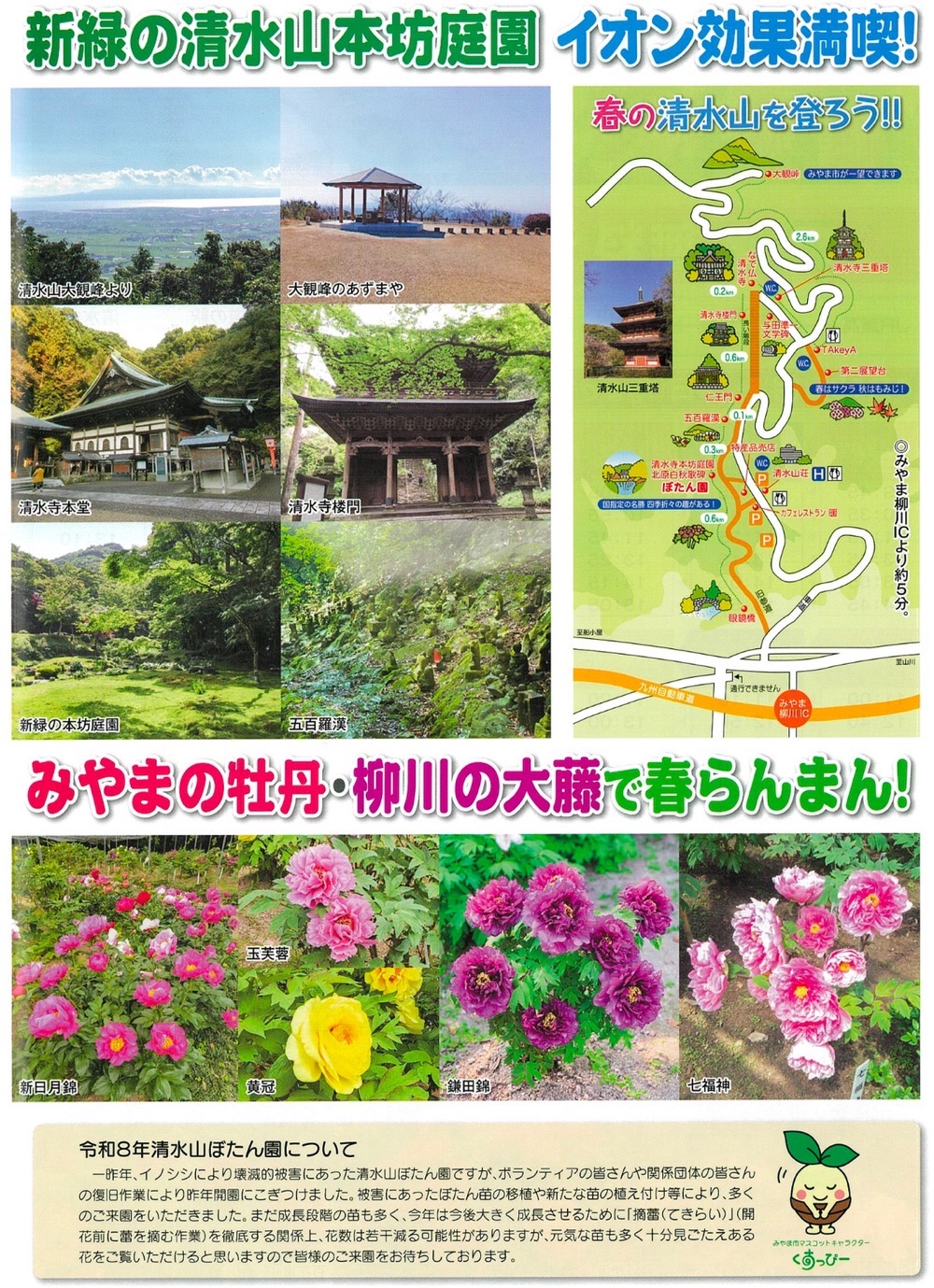 新緑の清水山本坊庭園 イオン効果満喫！