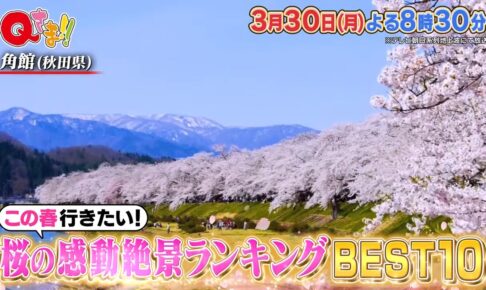 『旅のプロが選ぶ！桜の感動絶景ランキングBEST10』日本一美しい桜の名所はどこ!?Qさま