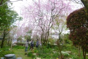 久留米市『田主丸オープンガーデン彩の会』9軒の民家･店舗が自慢のお庭を一般公開