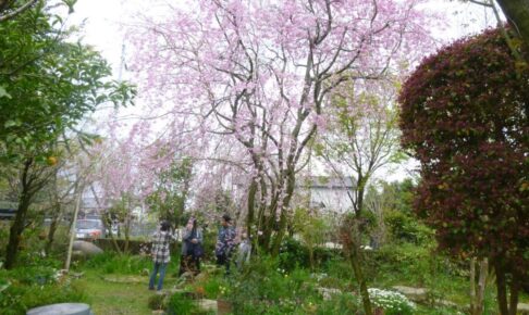 久留米市『田主丸オープンガーデン彩の会』9軒の民家･店舗が自慢のお庭を一般公開