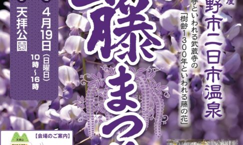 筑紫野市祭『二日市温泉藤まつり』樹齢1300年の大藤 水上ステージなど開催