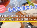 ももち浜ストア 久留米発祥「梅の花」に大潜入！アウトレット品に大人気豆腐スイーツも