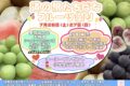 道の駅たちばな「フルーツ祭り」果物詰合せ大特価！対面販売も【八女市】