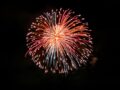 久留米市「赤司八幡宮放生会奉納花火大会2025」約2000発の花火