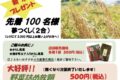 直売所「めぐみの里感謝祭」大好評！野菜の詰め放題などイベント開催【小郡市】