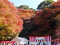 久留米市「宝の山高良山もみじ狩り祭り」江戸時代から続く紅葉の名所