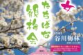 【八女市】谷川梅林「夢たちばな観梅会2026」2日間のみ開放!九州有数の梅の名所