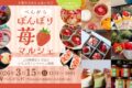 八女市「べんがらぼんぼり苺マルシェ」いちご尽くし！沢山のお店が出店