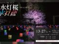 【朝倉市】ライトアップあ!さくら~水灯桜2026 “水”と“桜”が織り成す幻想的な景色