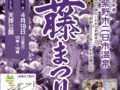 筑紫野市祭『二日市温泉藤まつり』樹齢1300年の大藤 水上ステージなど開催
