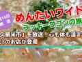 「久留米市」を放送！めんたいワイド ラッキーワゴンの旅！心も体も温まる豚汁のお店が登場