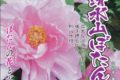 「清水山ぼたん園」九州最大級の広さ、約80種の牡丹が咲き誇る【みやま市】