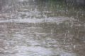 福岡県久留米市 大雨警報（土砂災害）雷、洪水注意報 雨によるダイヤの乱れ