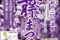 筑紫野市祭「二日市温泉 藤まつり」樹齢1300年の大藤 武蔵寺